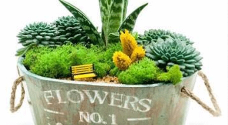Masterpiece Galata String Art & Terrarium Etkinlik Afişi
