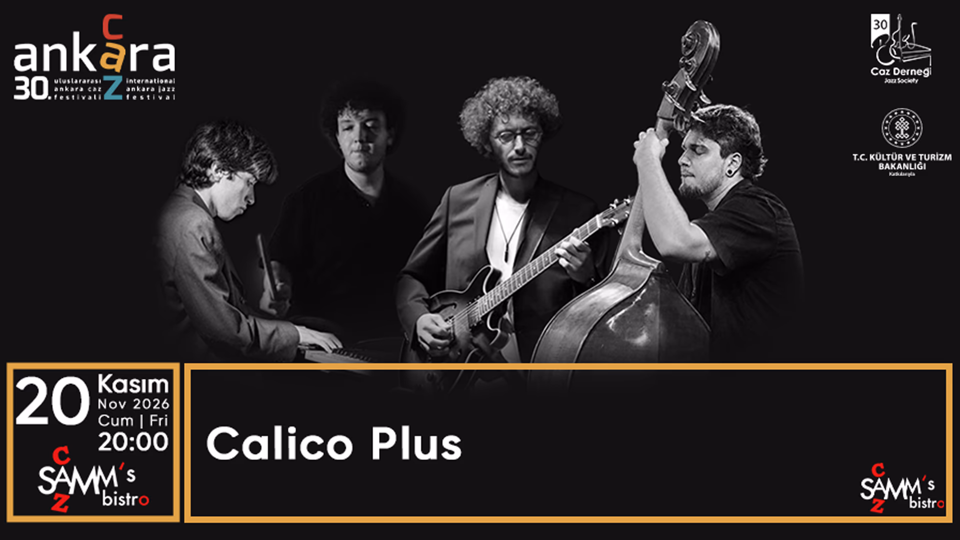Calico Plus