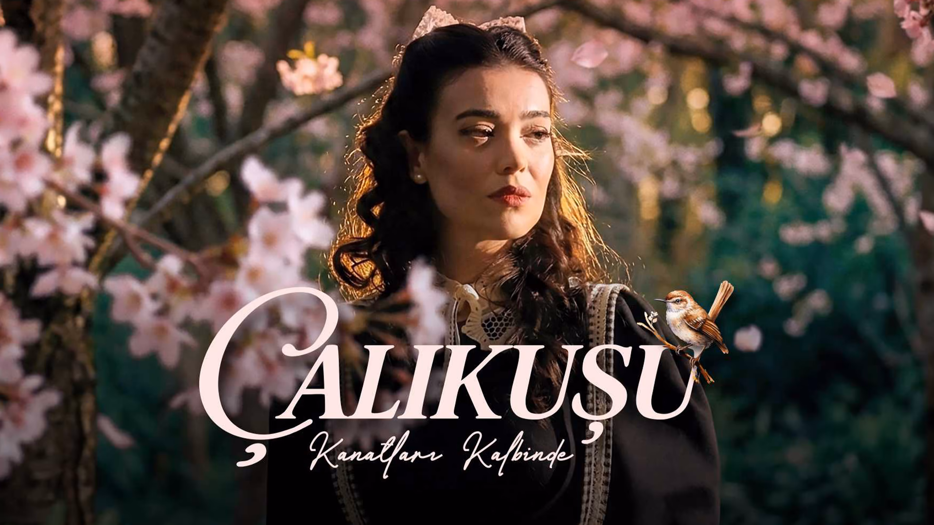 Çalıkuşu - Kanatları Kalbinde