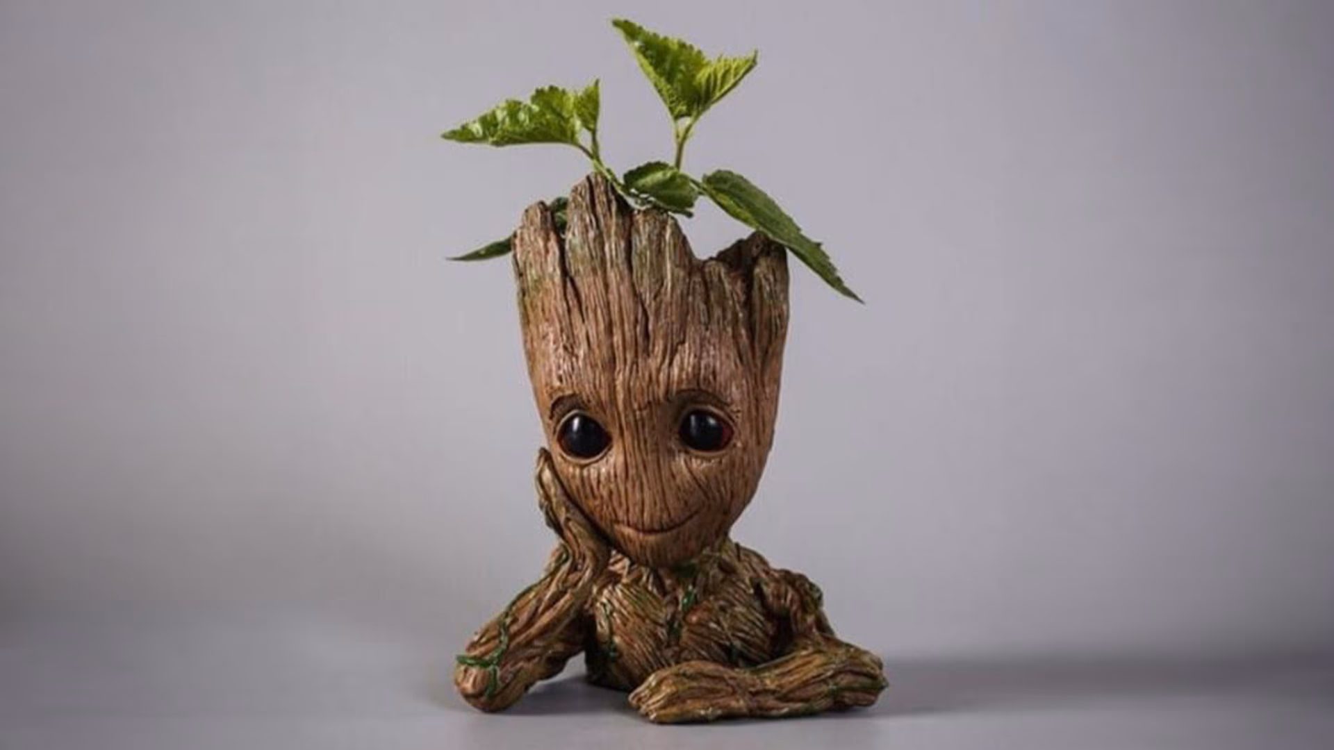 Heykel - Groot