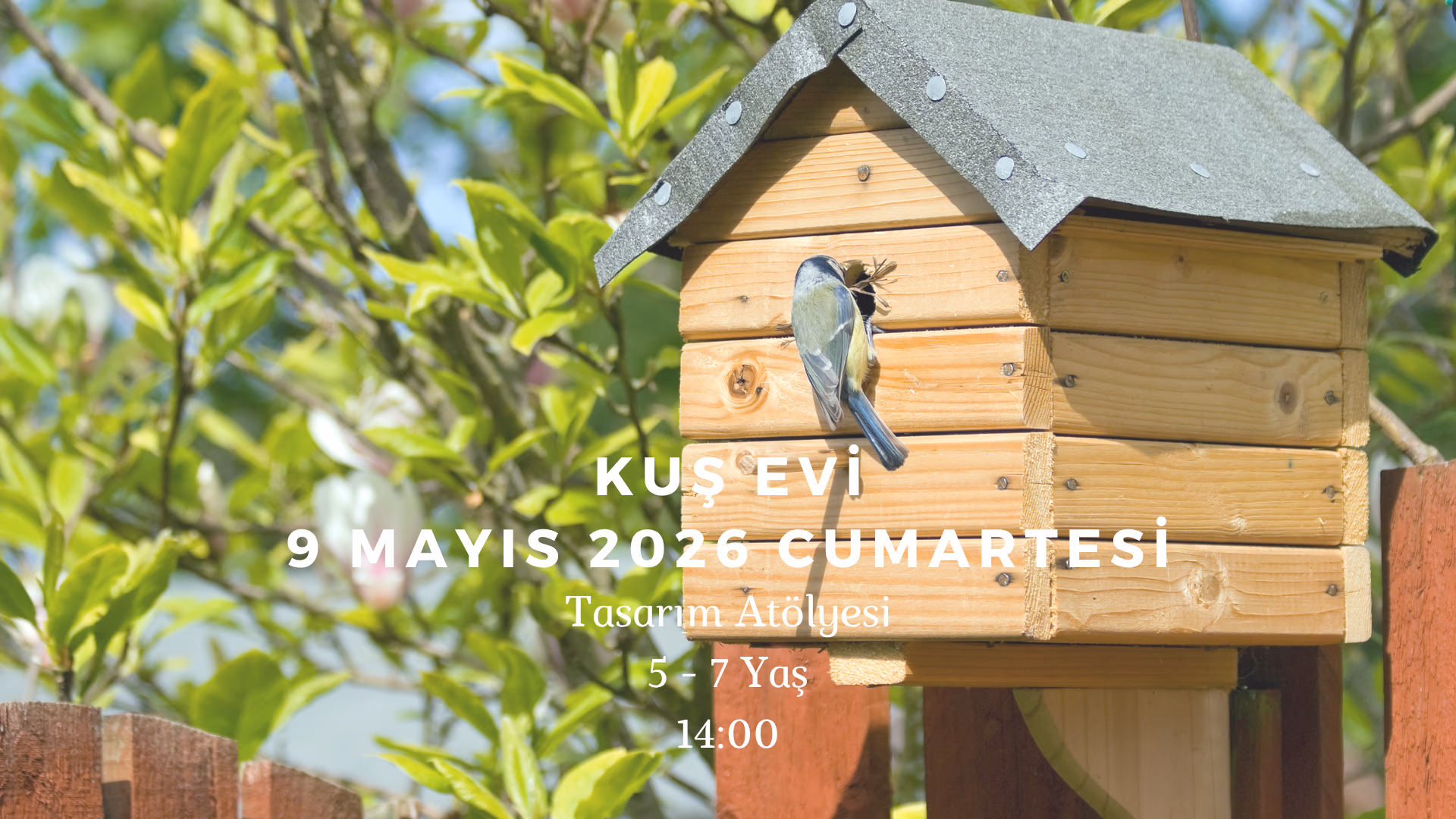 Kuş Evi 5-7 Yaş