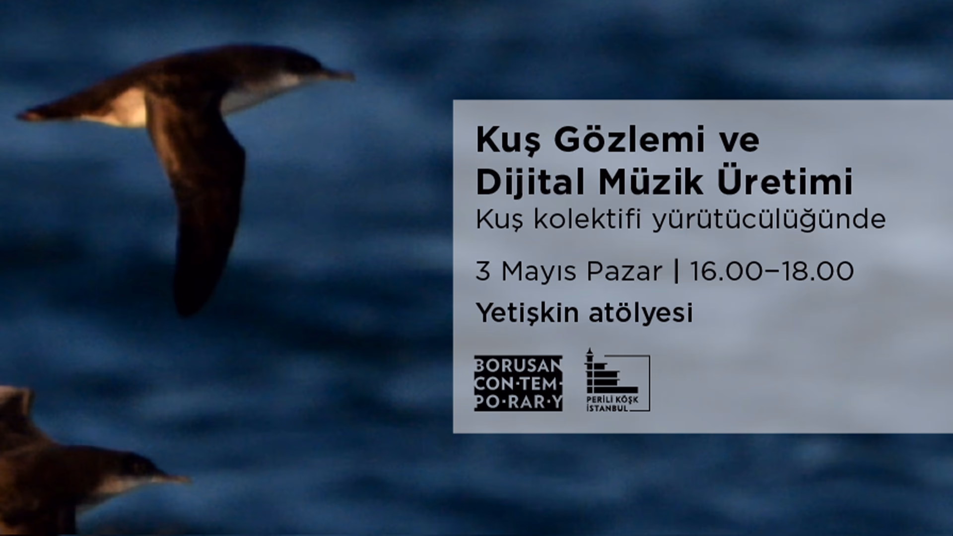 Kuş Gözlemi ve Dijital Müzik Üretim