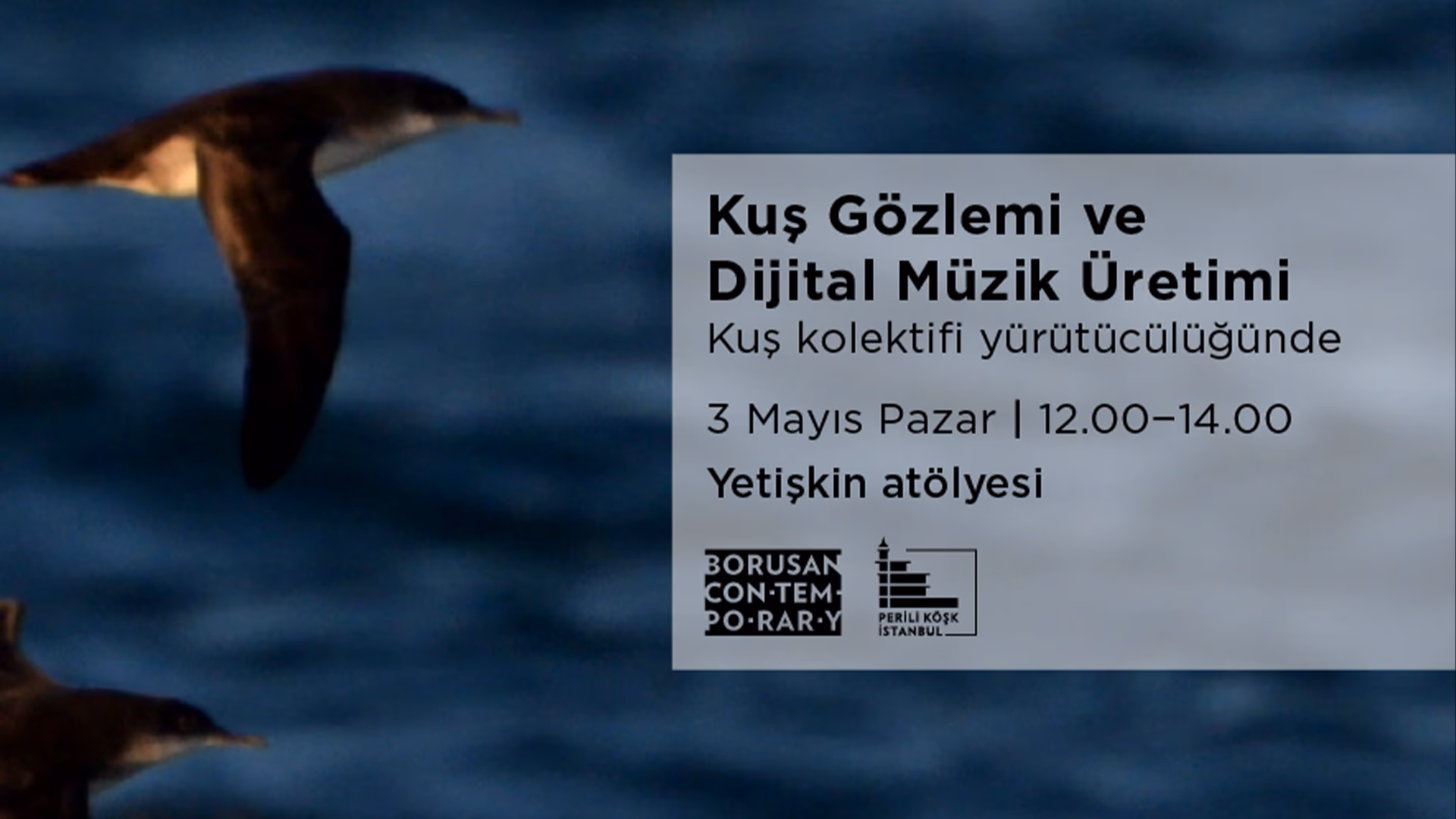 Kuş Gözlemi ve Dijital Müzik Üretim