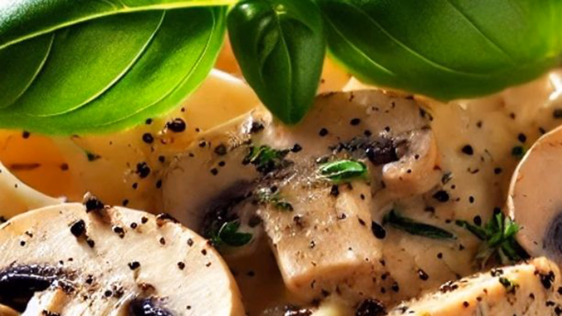 Taze İtalyan Makarnaları Ve Sosları