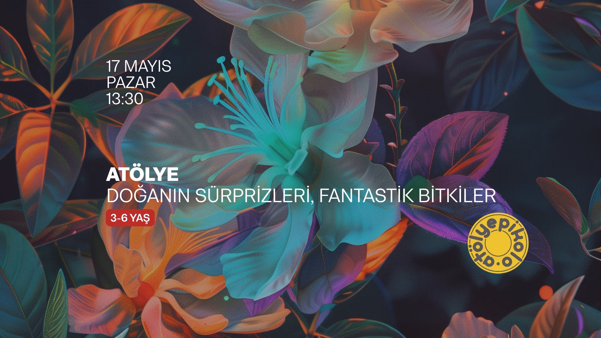 Doğanın Sürprizleri, Fantastik Bitkiler 
3-6 yaş (bir yetişkin eşliğinde)