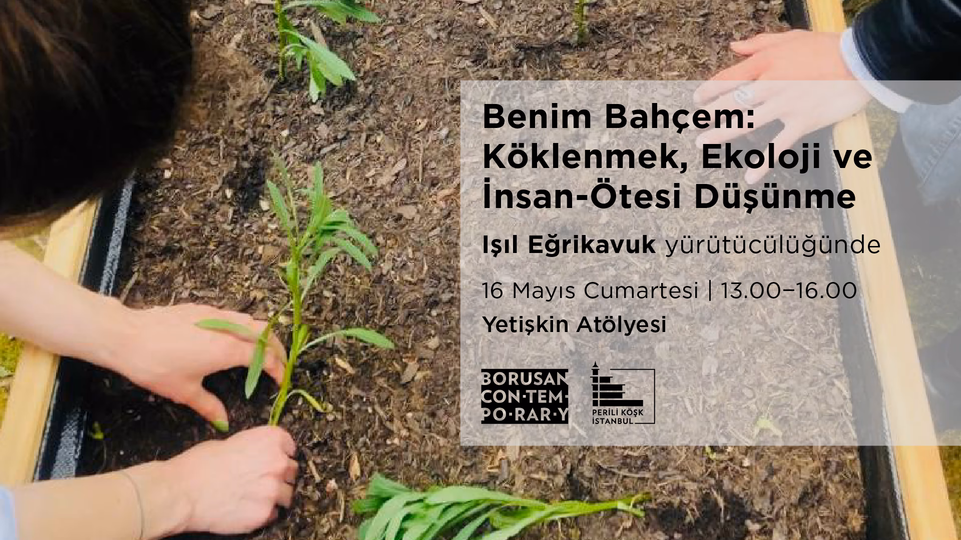 Işıl Eğrikavuk ile “Benim Bahçem: Köklenmek, Ekoloji ve İnsan-Ötesi Düşünme”