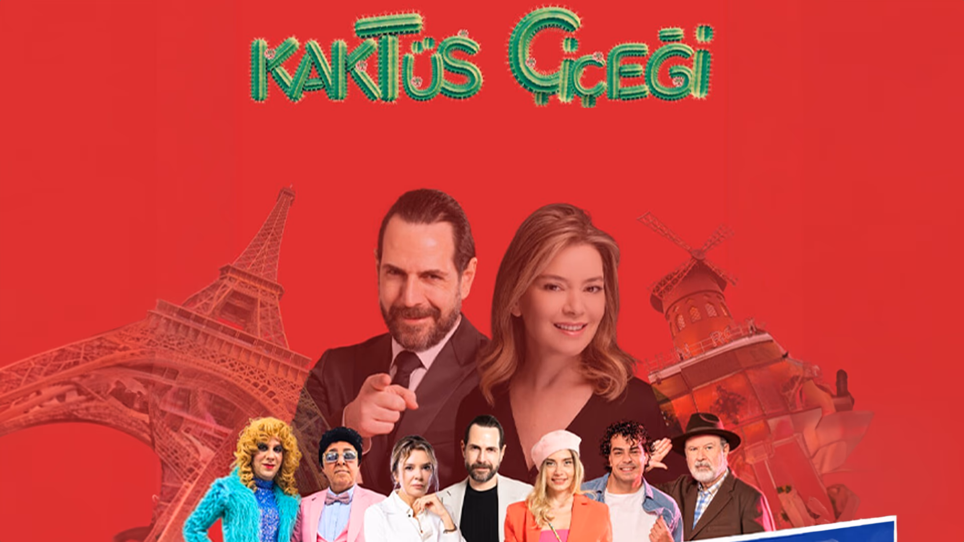 Kaktüs Çiçeği
