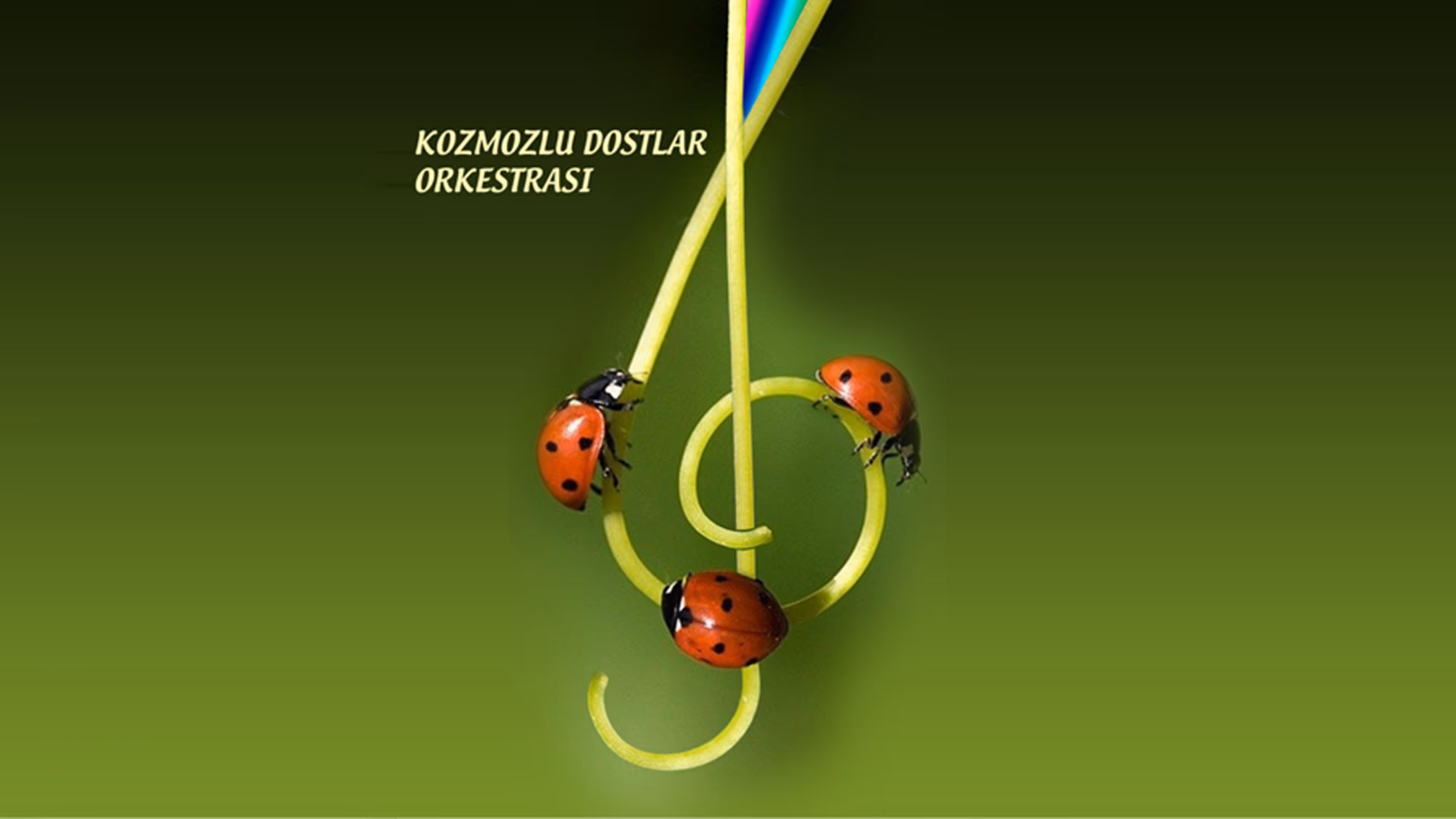 Kozmozlu Dostlar Orkestrası Bahar Konseri