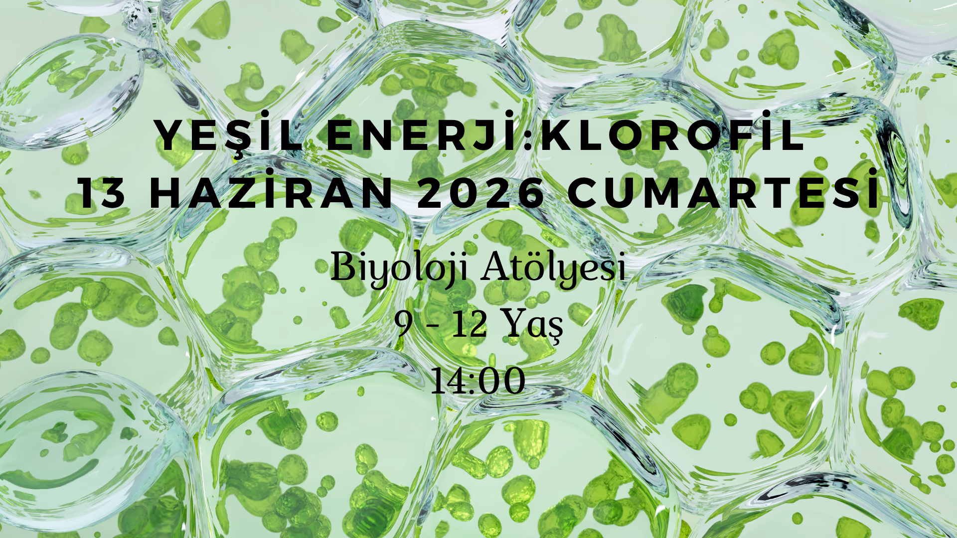 Yeşil Enerji - Klorofil 9-12 Yaş