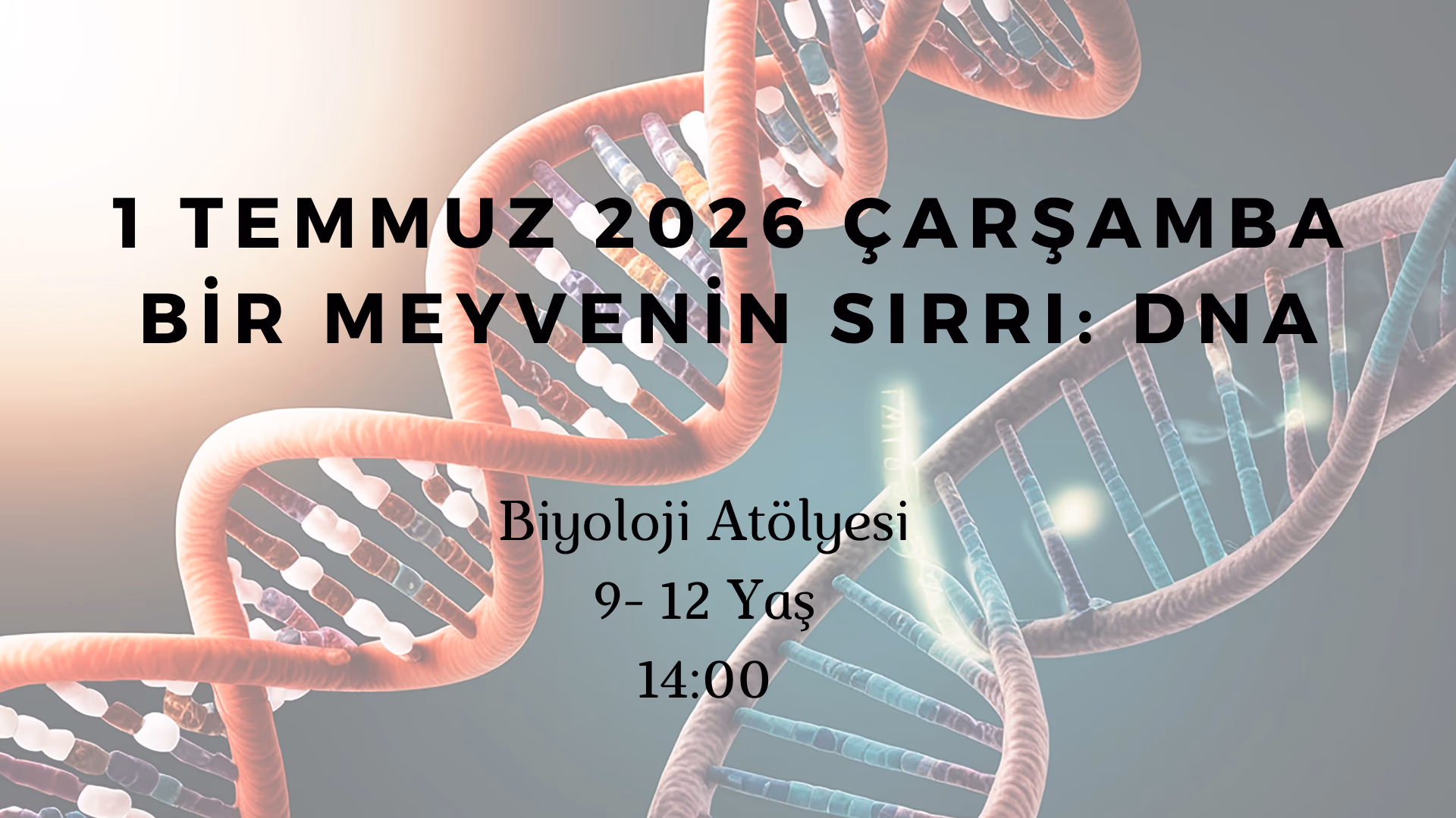 Bir Meyvenin Sırrı : DNA 9-12 Yaş