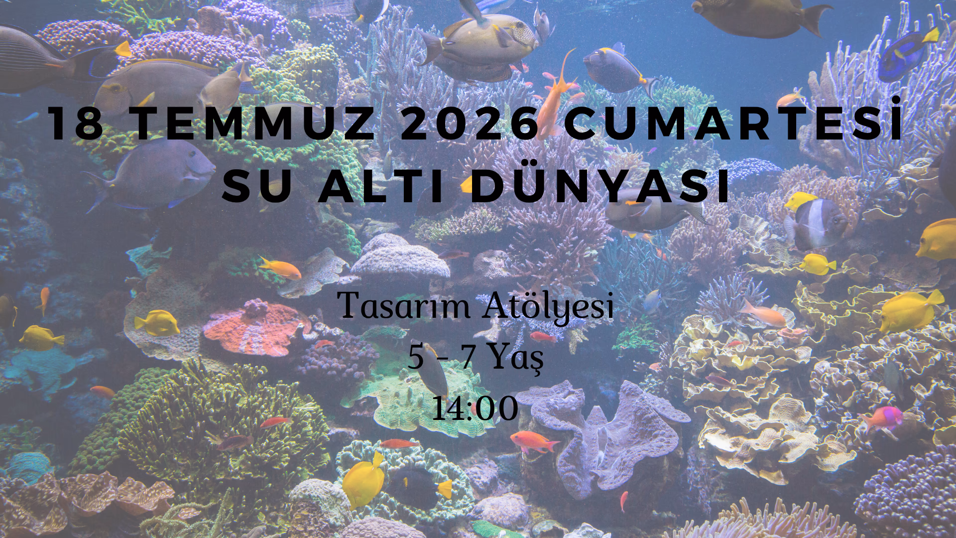 Su Altı Dünyası 5-7 Yaş
