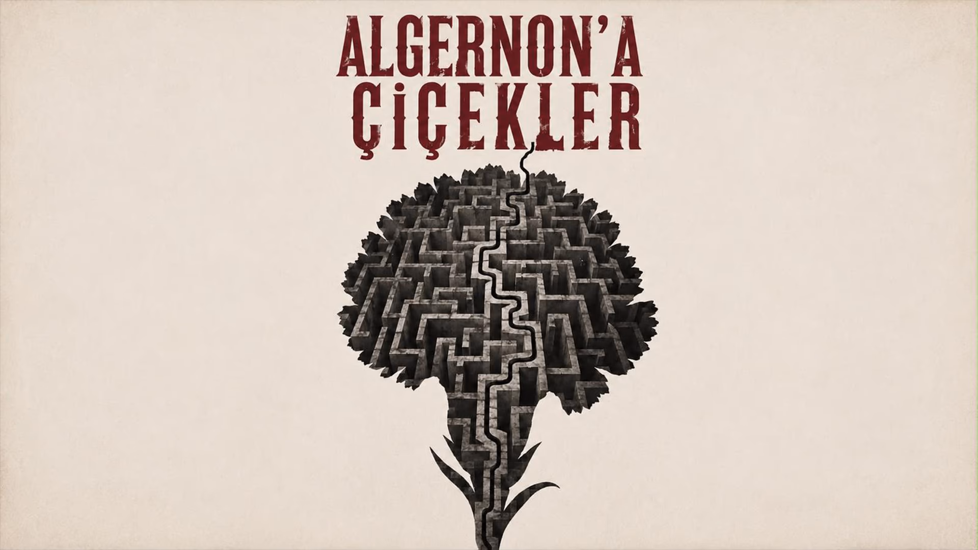 Algernon'a Çiçekler