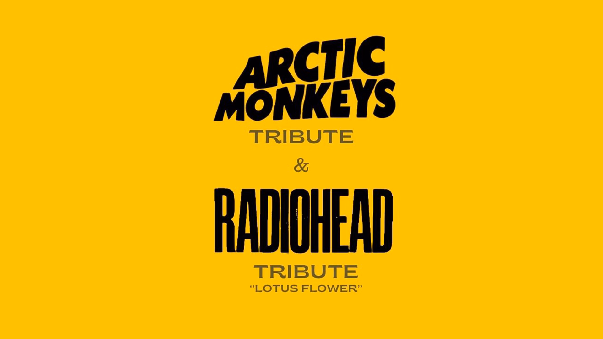 Arctic Monkeys Tribute ve Radiohead Tribute - "Lotus Flower"
