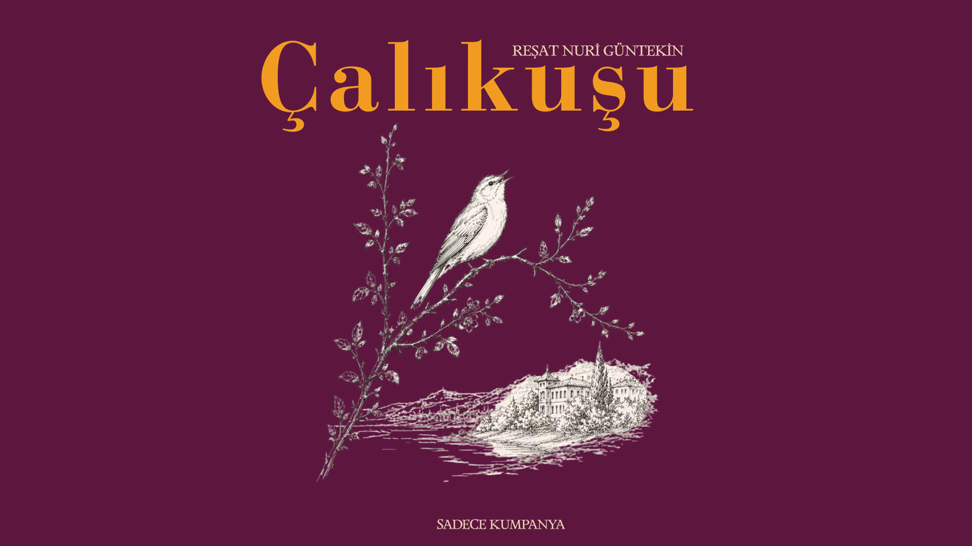 Çalıkuşu