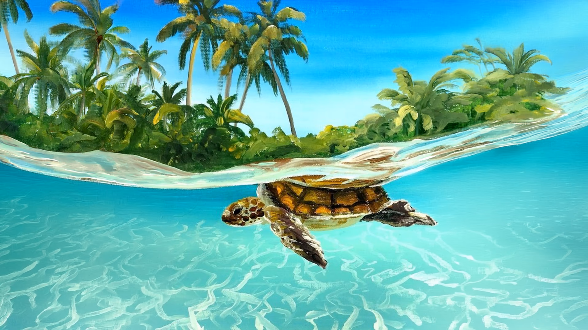 Resim - Caretta Caretta