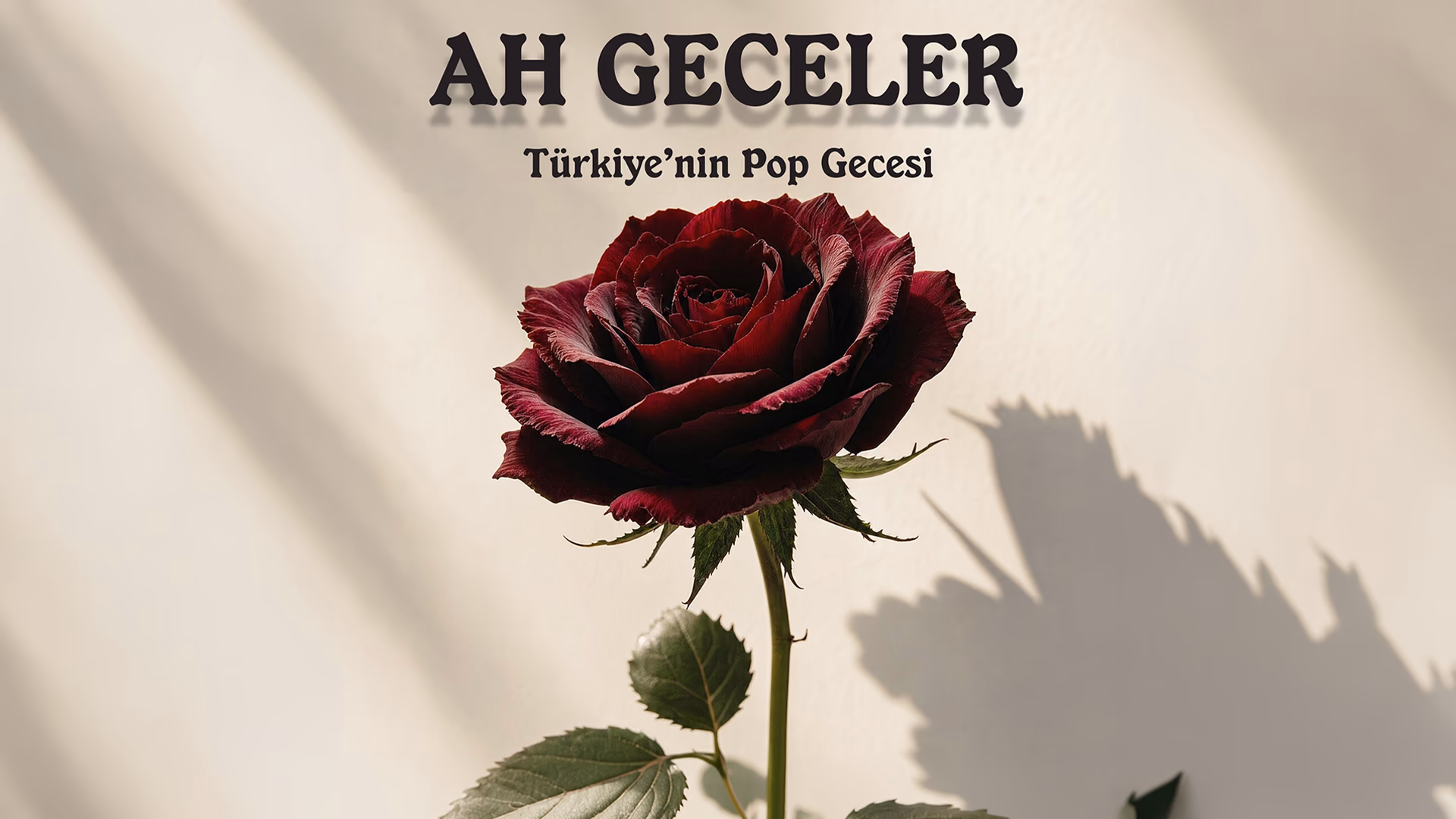 Ah Geceler - Türkiye’nin Pop Gecesi