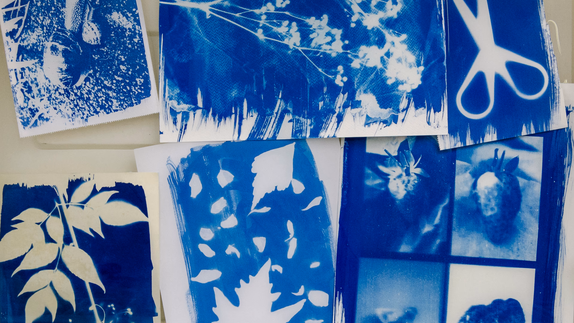 Elçin Acun ve Mert Çağıl Türkay ile Cyanotype Atölyesi