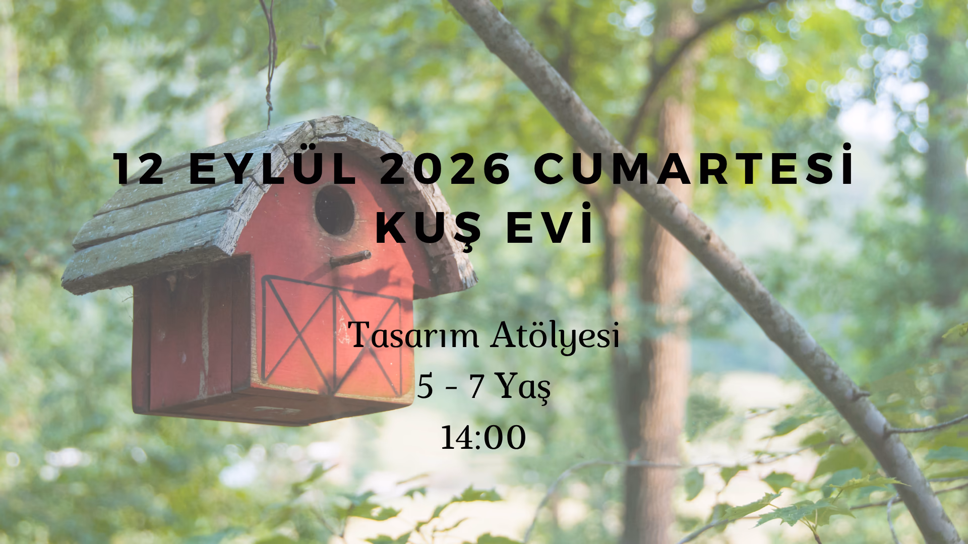Kuş Evi 5-7 Yaş