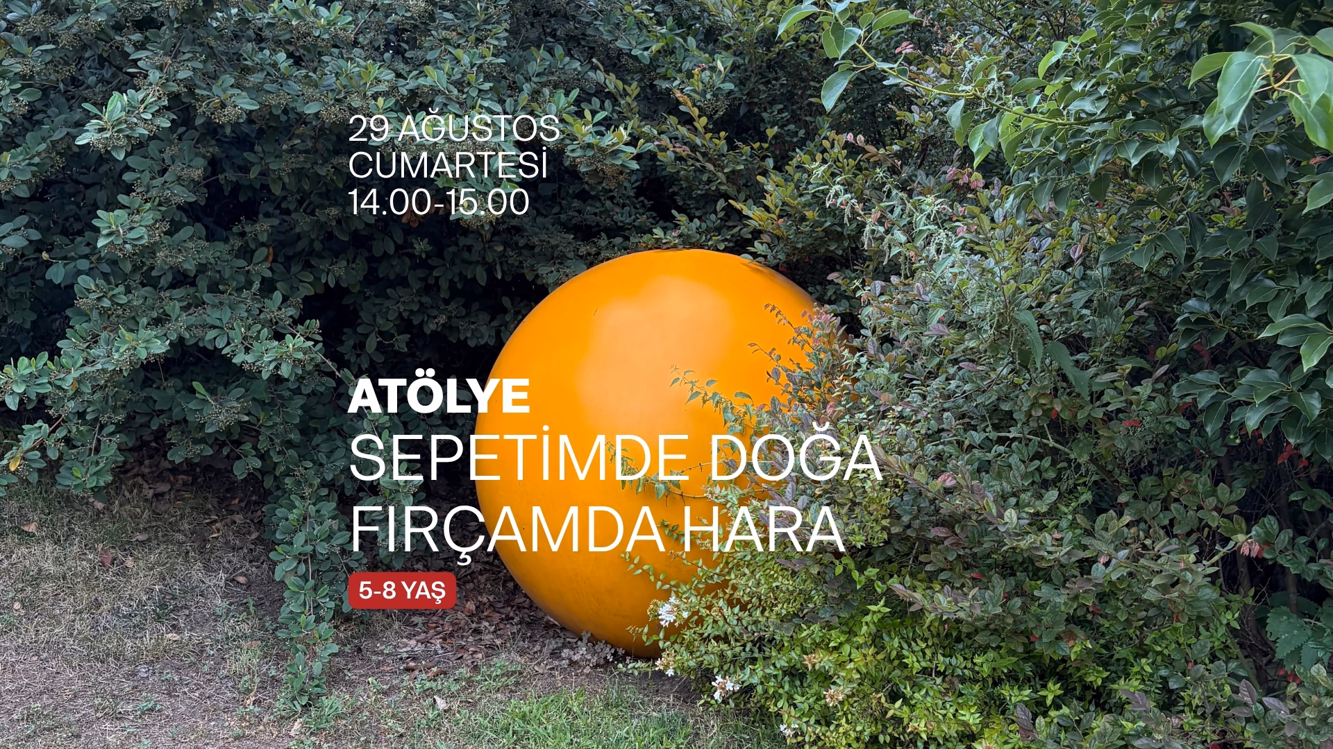 Sepetimde Doğa, Fırçamda Hara
