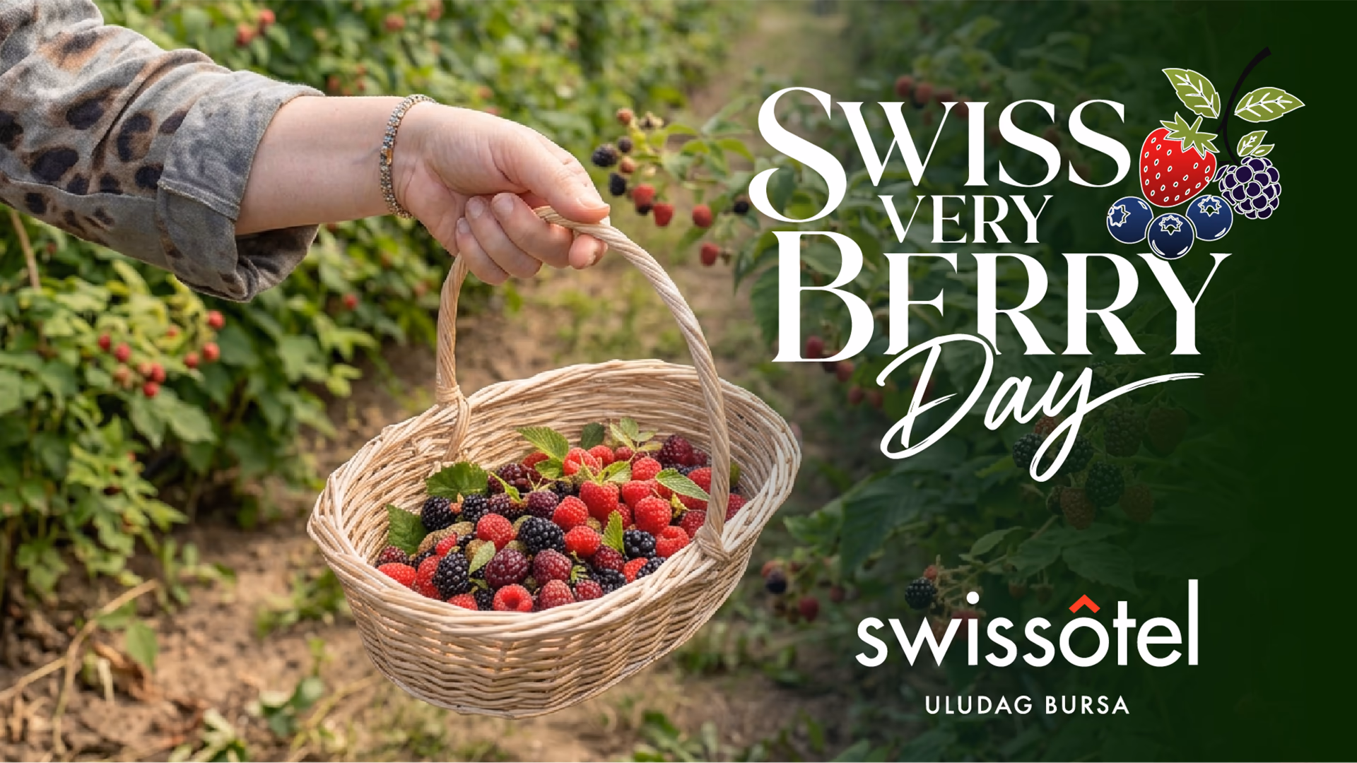 Swiss Very Berry Day