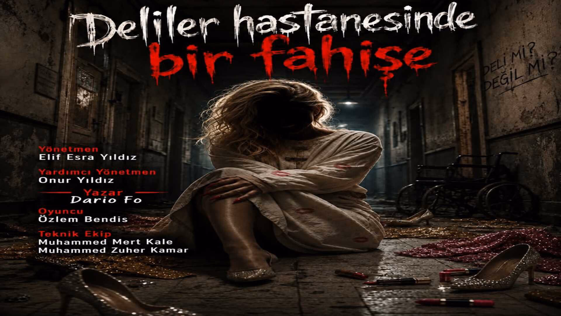Bir Fahişenin Akıl Hastanesindeki Günlüğü